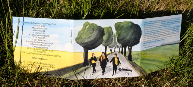 Trinnings skiva STEG